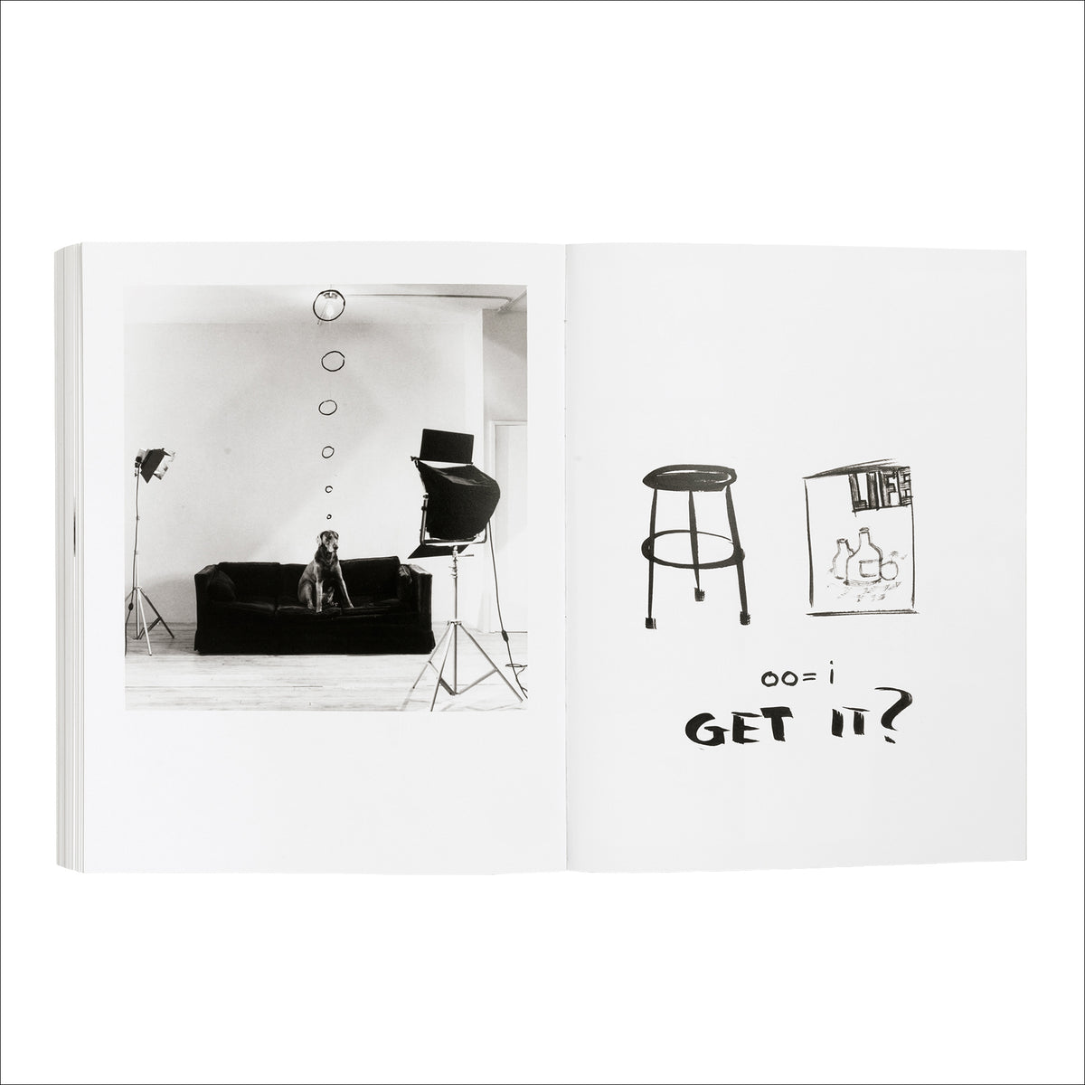 WILLIAM WEGMAN / Writing by Artist