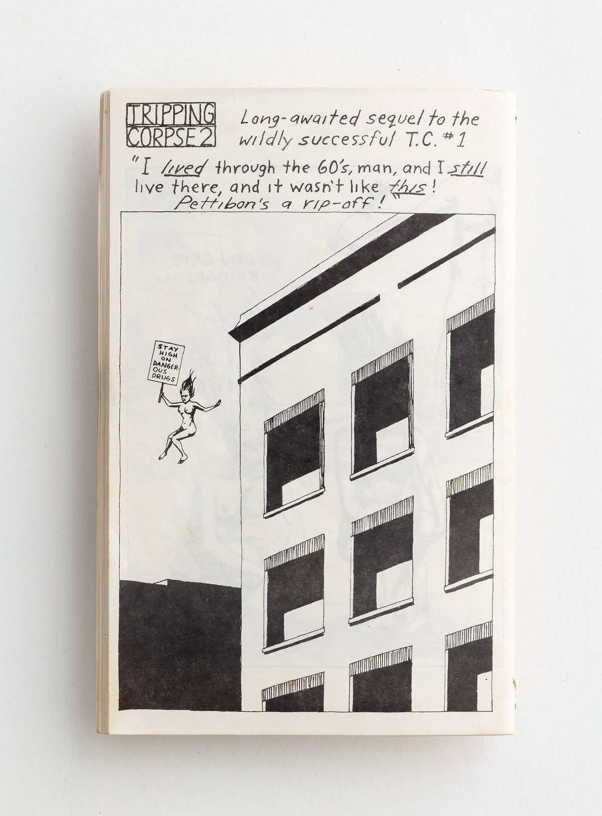 RAYMOND PETTIBON / Tripping Corpse 2