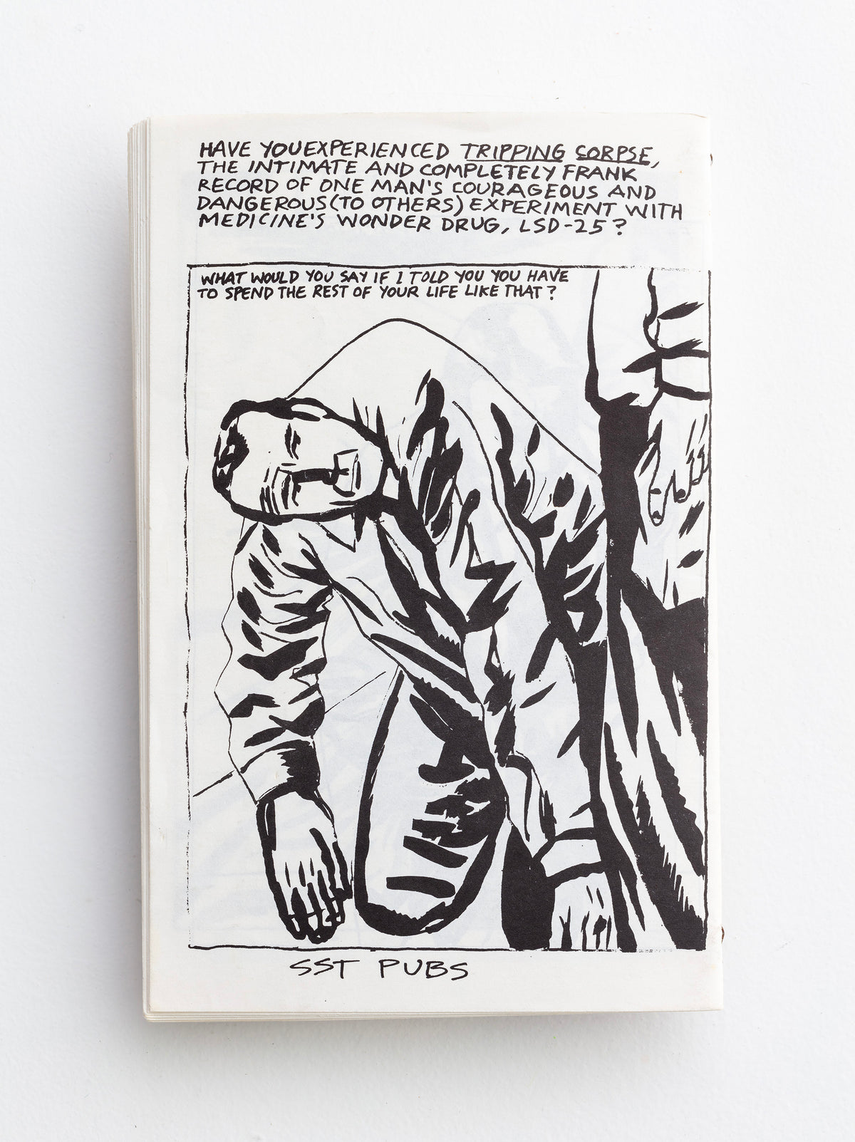 RAYMOND PETTIBON / The Observable World