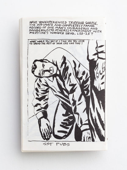 RAYMOND PETTIBON / The Observable World