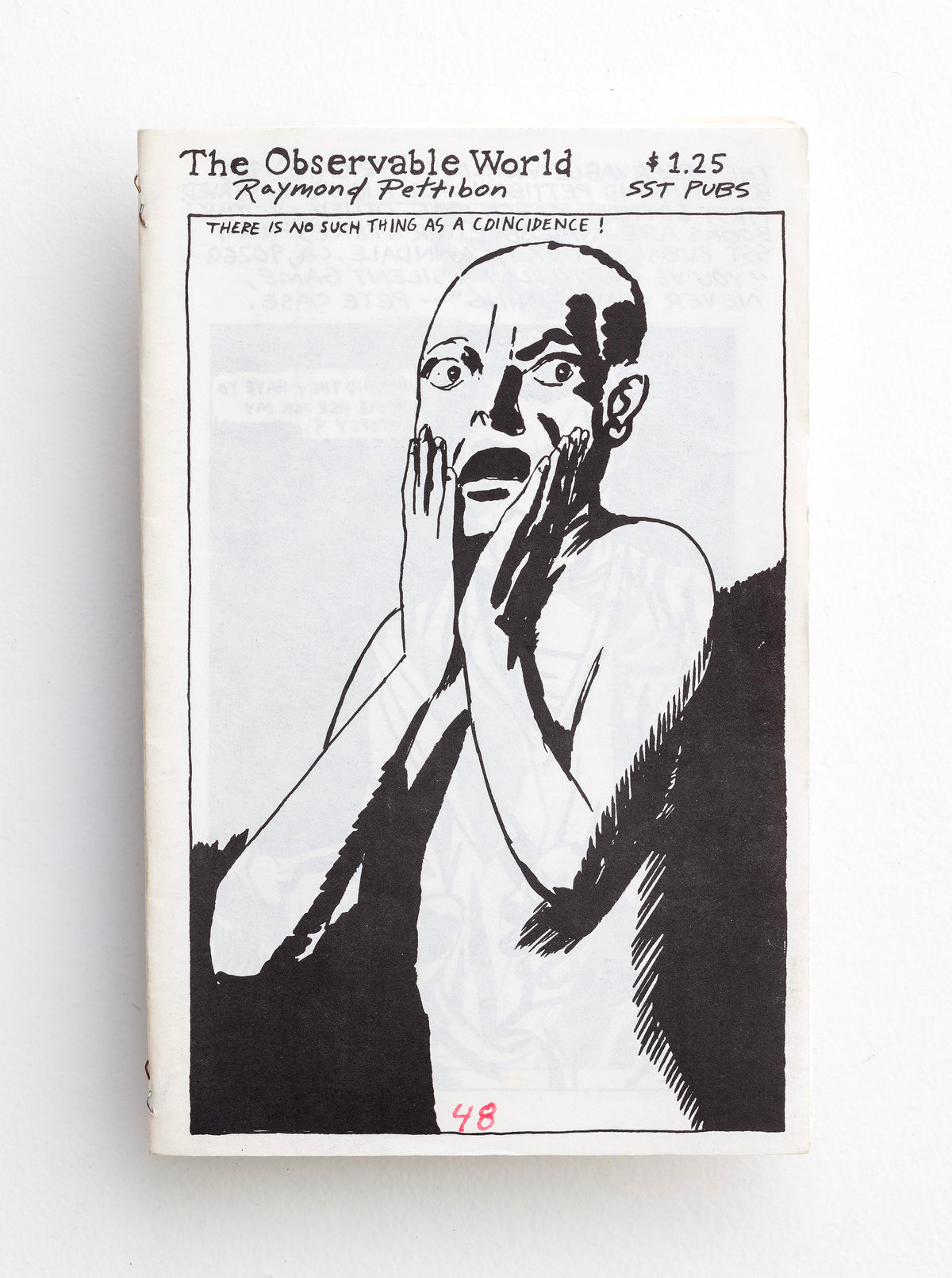 RAYMOND PETTIBON / The Observable World