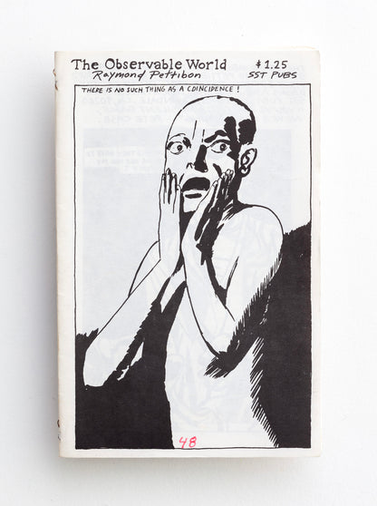 RAYMOND PETTIBON / The Observable World
