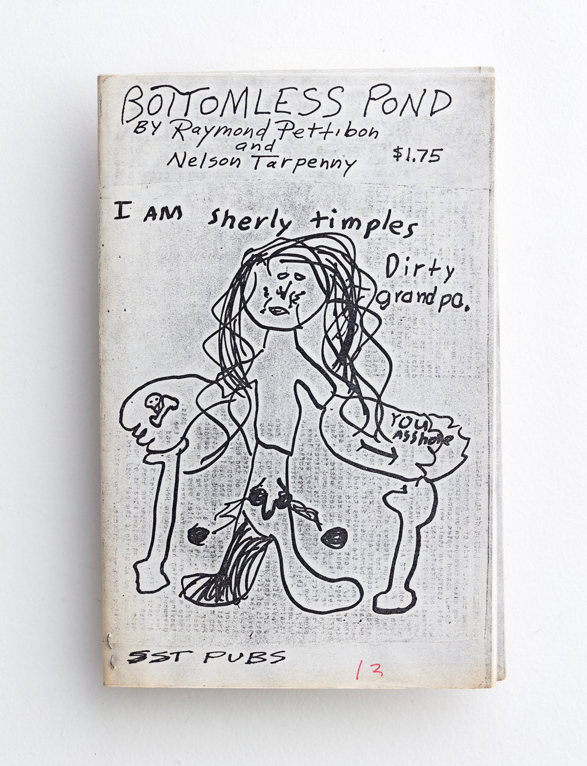 RAYMOND PETTIBON / Bottomless Pond
