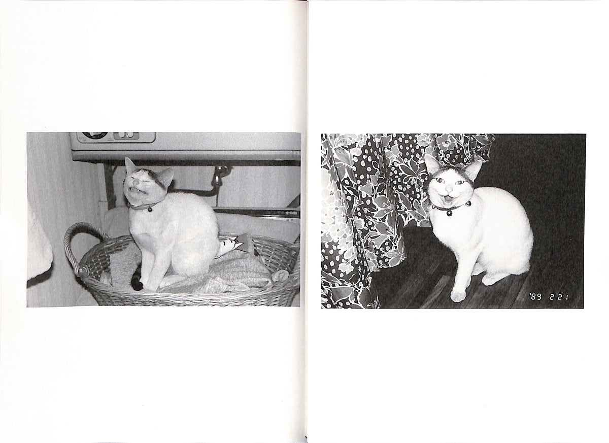 NOBUYOSHI ARAKI / Chiro, My Love