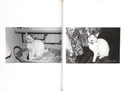 NOBUYOSHI ARAKI / Chiro, My Love