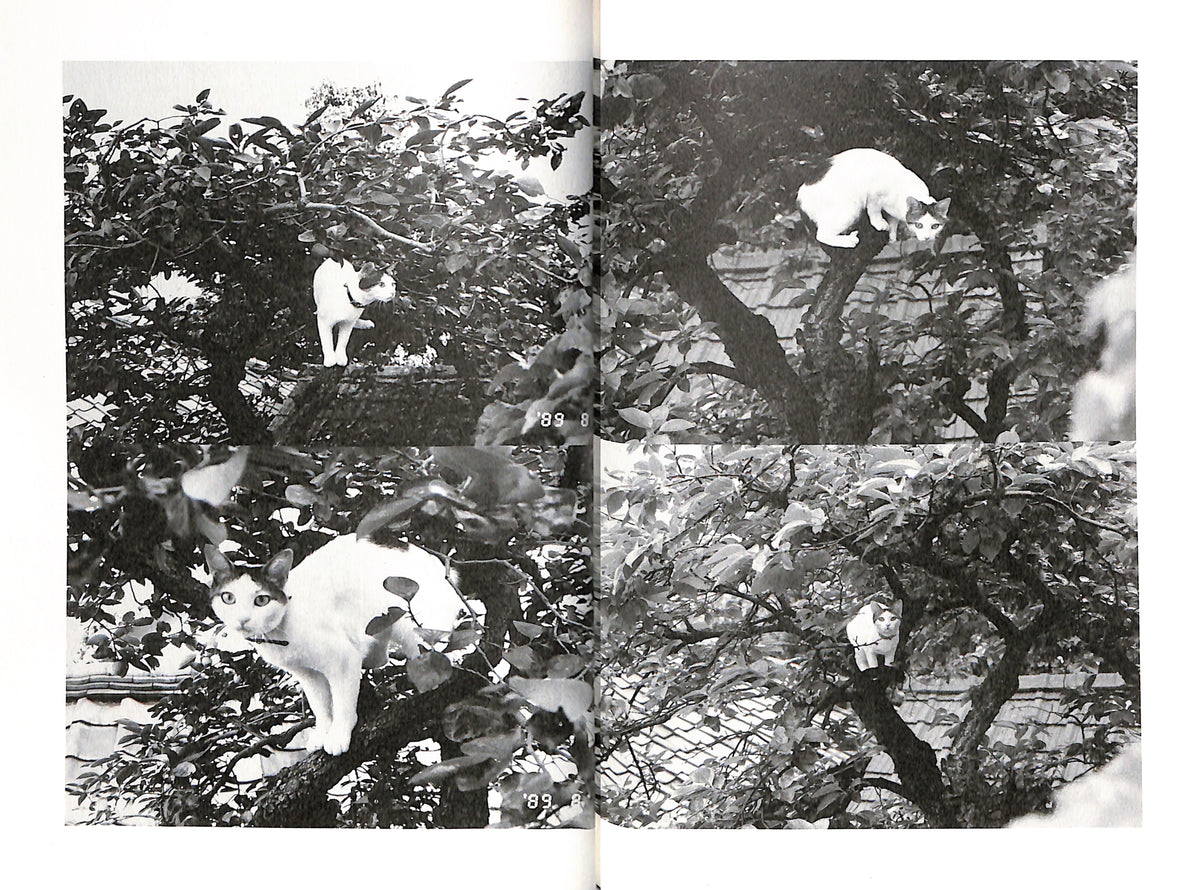 NOBUYOSHI ARAKI / Chiro, My Love - Black and white images of a cat in a tree with a collage effect.