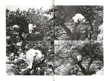 NOBUYOSHI ARAKI / Chiro, My Love - Black and white images of a cat in a tree with a collage effect.