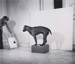 WILLIAM WEGMAN / Video Works 1970 - 1999