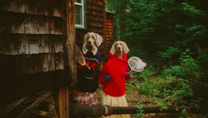 WILLIAM WEGMAN / The Hardly Boys