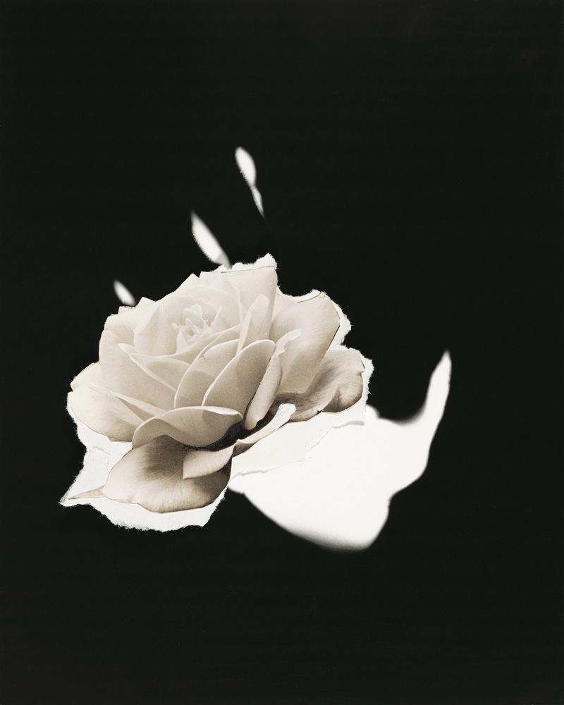 JAY DeFeo / Photographic Work