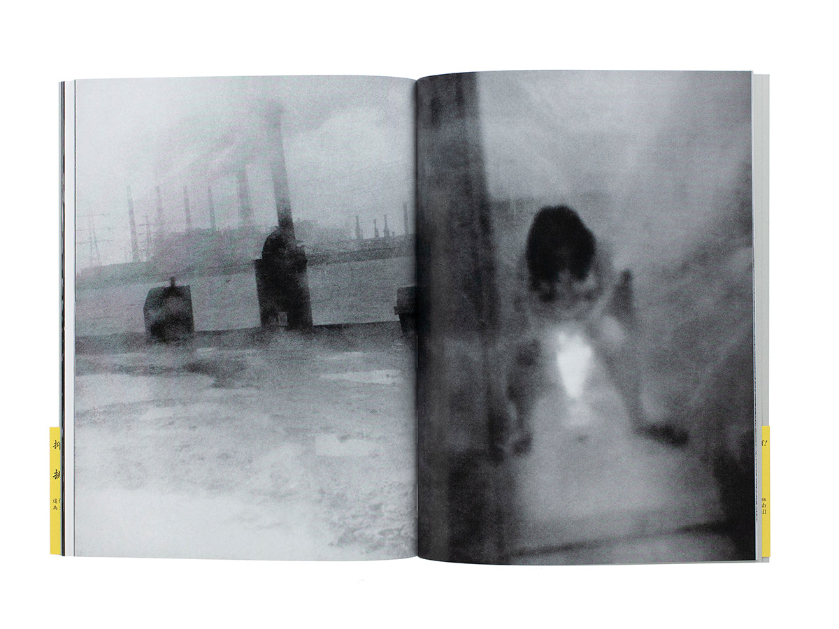 Various / PROVOKE