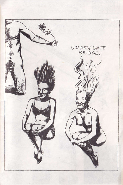 RAYMOND PETTIBON / Tripping Corpse 2