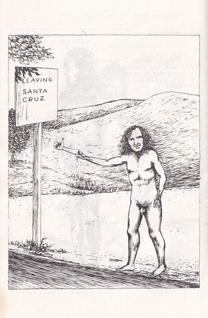 RAYMOND PETTIBON / Tripping Corpse 2