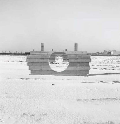 VARIOUS ARTISTS / Groundswell: Women of Land Art