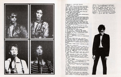 THE RAMONES / PUNK #3