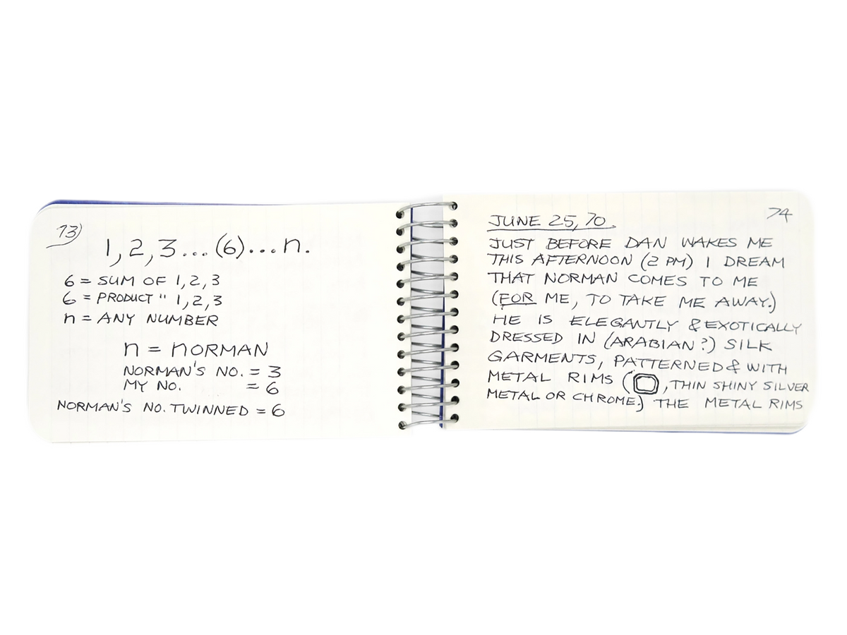 LEE LOZANO / Private book #9
