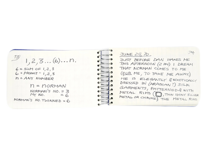 LEE LOZANO / Private book #9