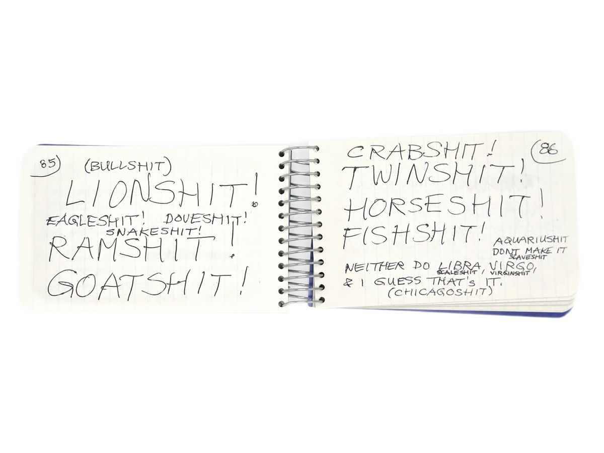 LEE LOZANO / Private book #9