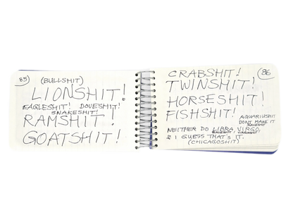 LEE LOZANO / Private book #9