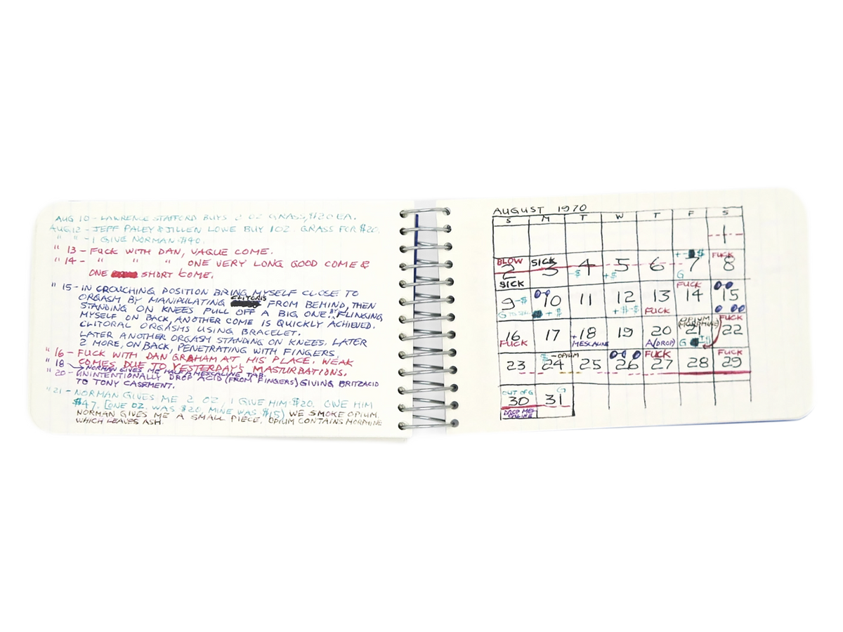 LEE LOZANO / Private book #9