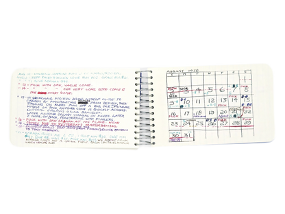 LEE LOZANO / Private book #9